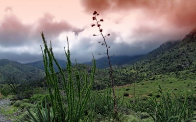 Well Service Helps Maintain Sustainable Living Standards