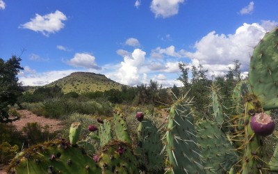 Water Well Service Simplifies Remote Living