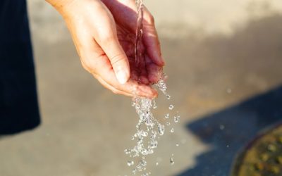 A Steady Water Supply is Crucial