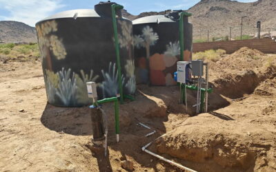 Add a Little Whimsy to Your Water Well Tank – With A-1 Arthur’s Well Service